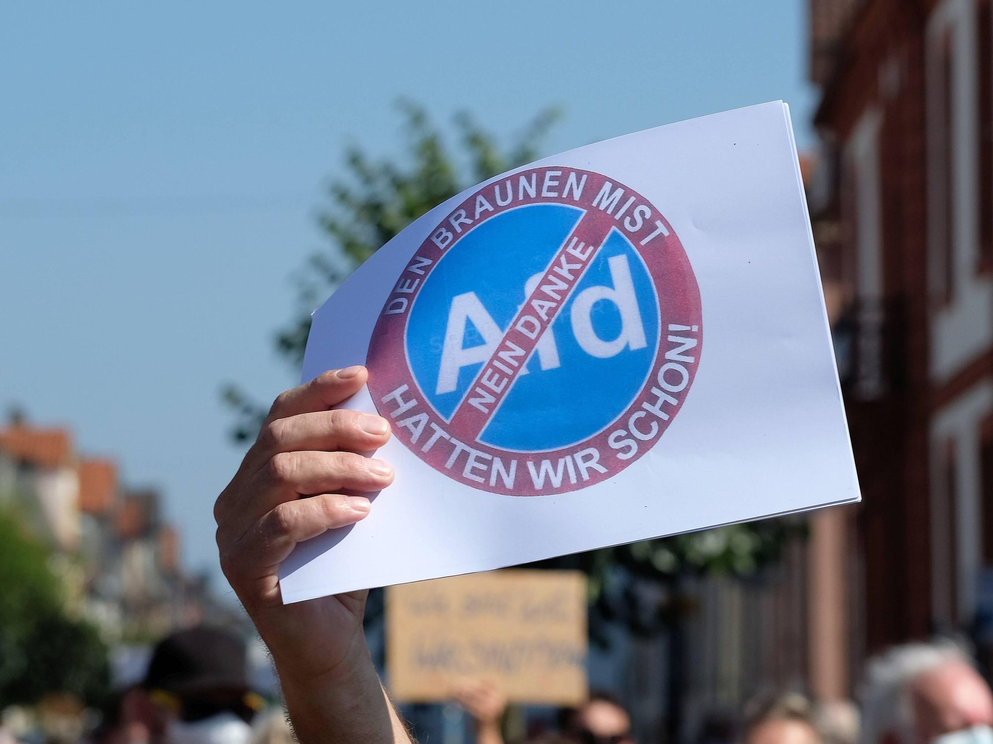 German Election: How Far-Right AfD Hit Its Ceiling