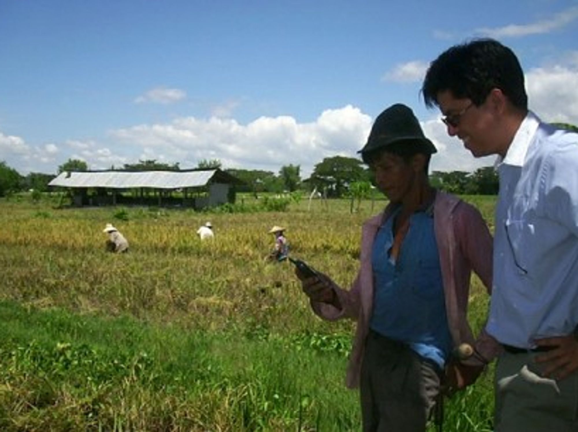 A rural farmer in the Philippines (kiwanja)
