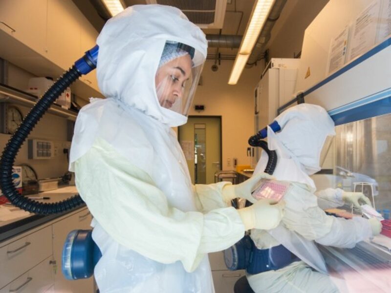 A scientist conducting coronavirus research in Brunswick, Germany