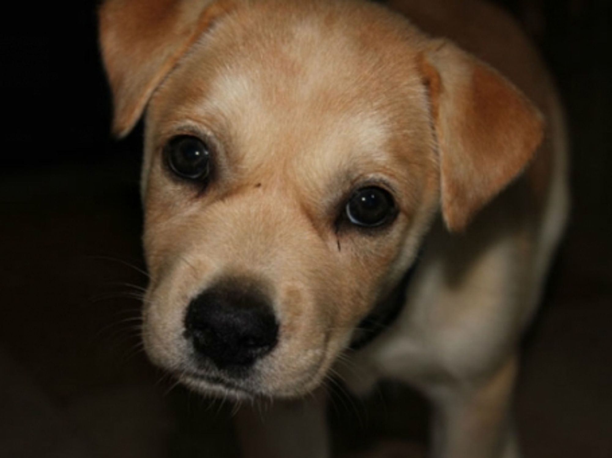 A shelter for him instead of tax dodgers?