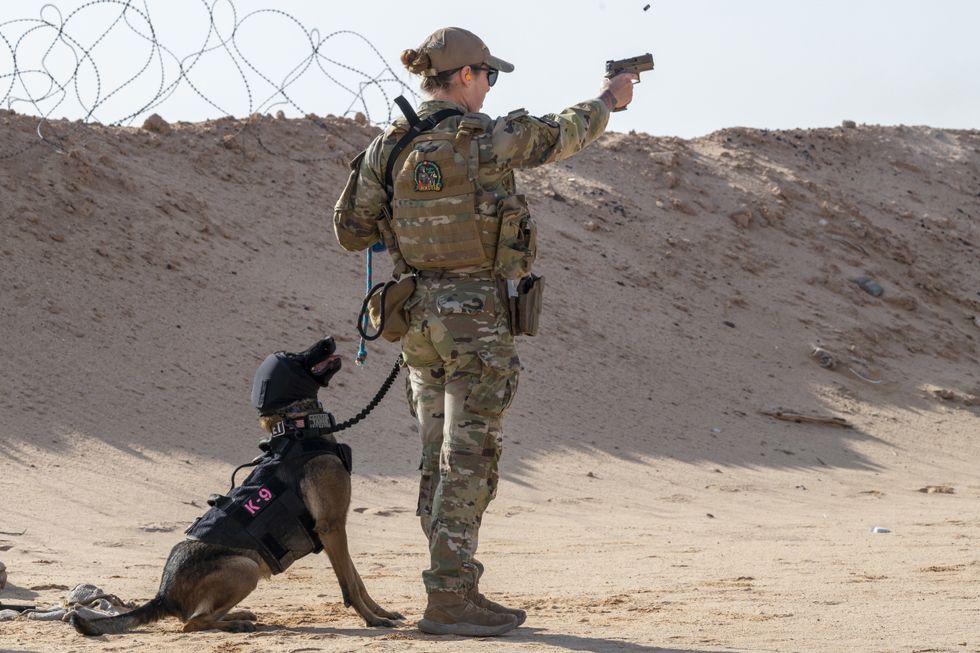 A soldier in camo points a gun, her K-9 sitting next to her