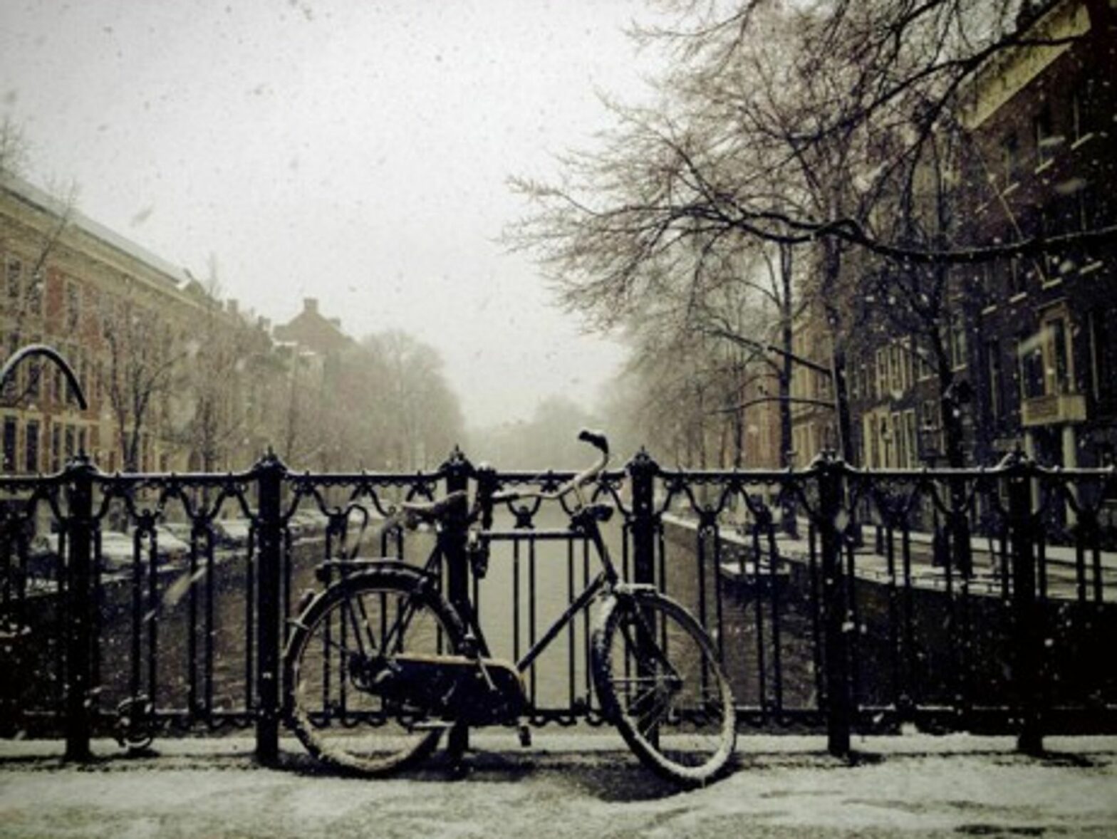 A source of national pride, Amsterdam's canals will be celebrated in various exhibitions