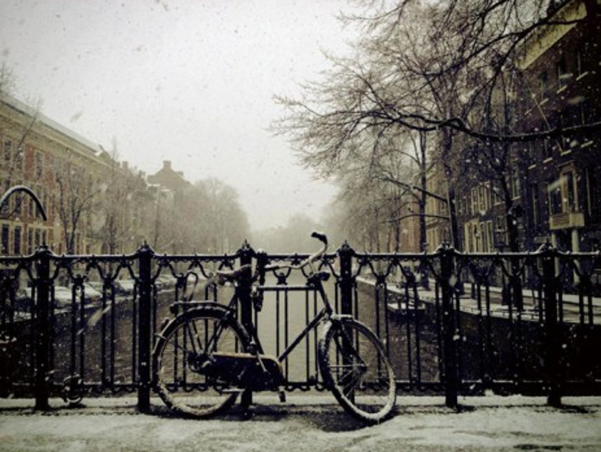 A source of national pride, Amsterdam's canals will be celebrated in various exhibitions