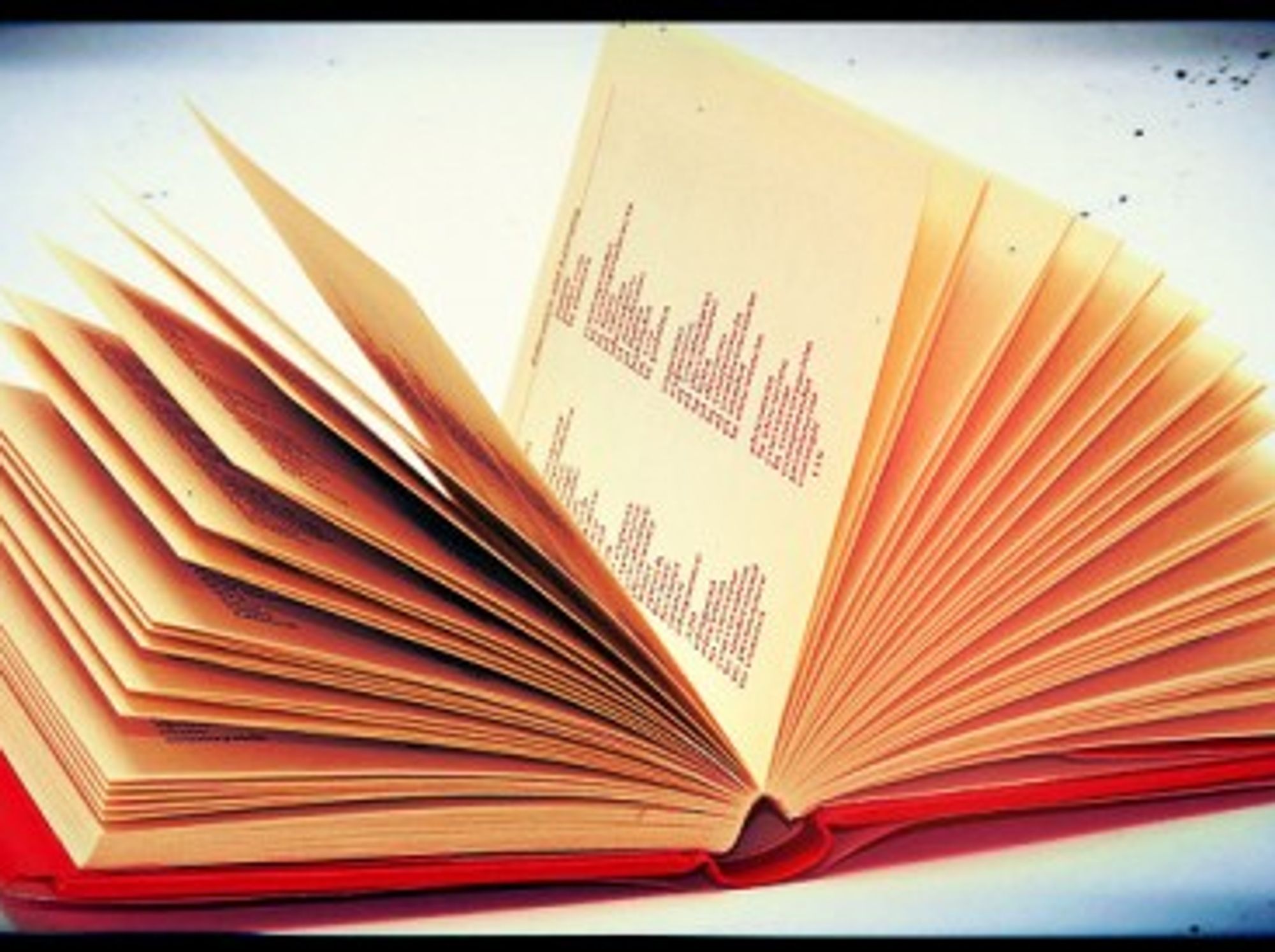 A Spanish dictionary