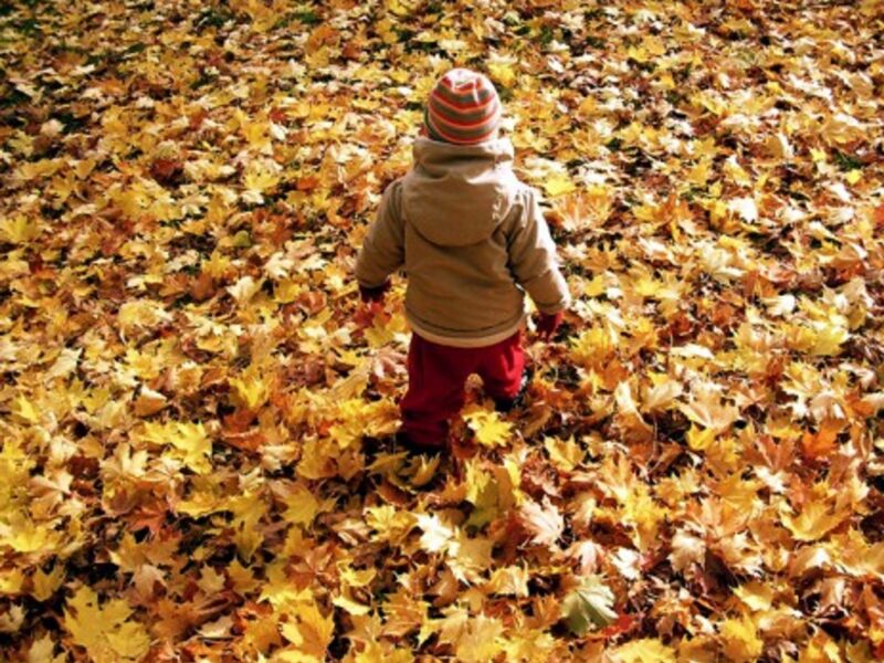 A Swedish kid playing in a park in Stockholm