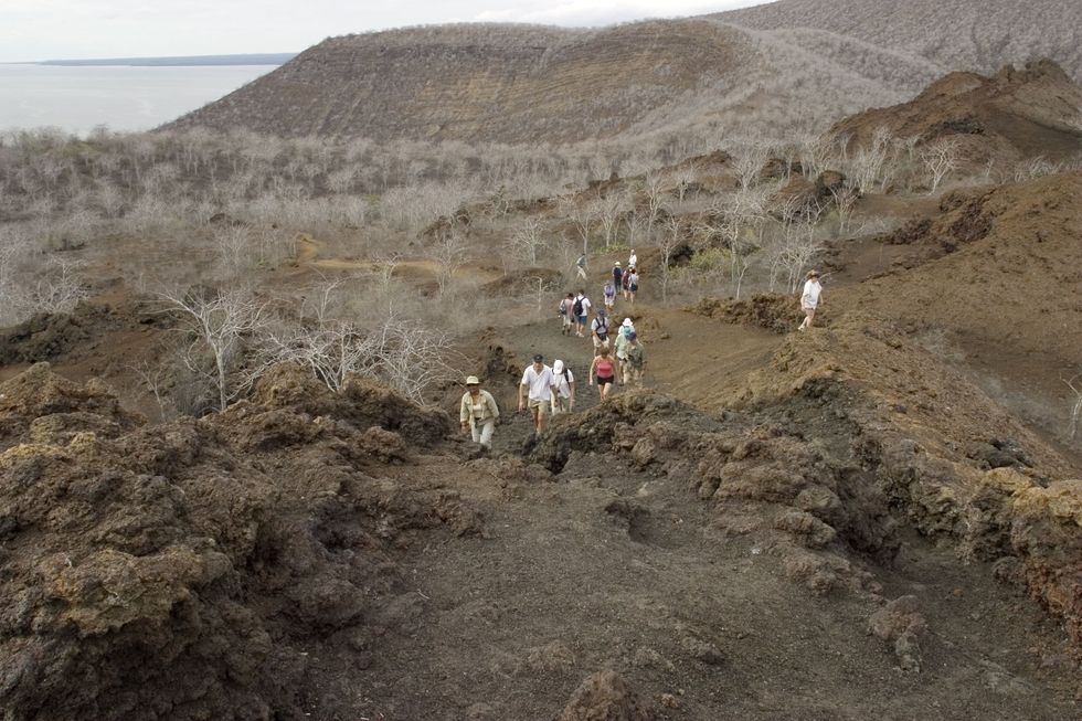 A tour guide takes a group of tourists on a long hike around Santiago Island in 2006.