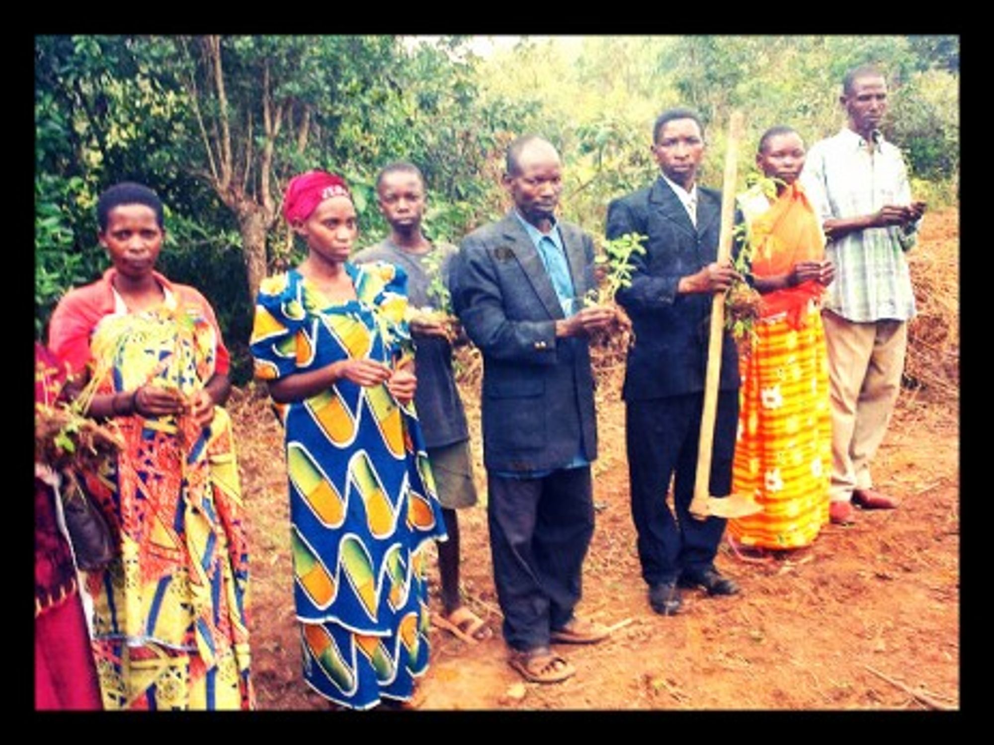 A Tree Planting Ceremony In Burundi