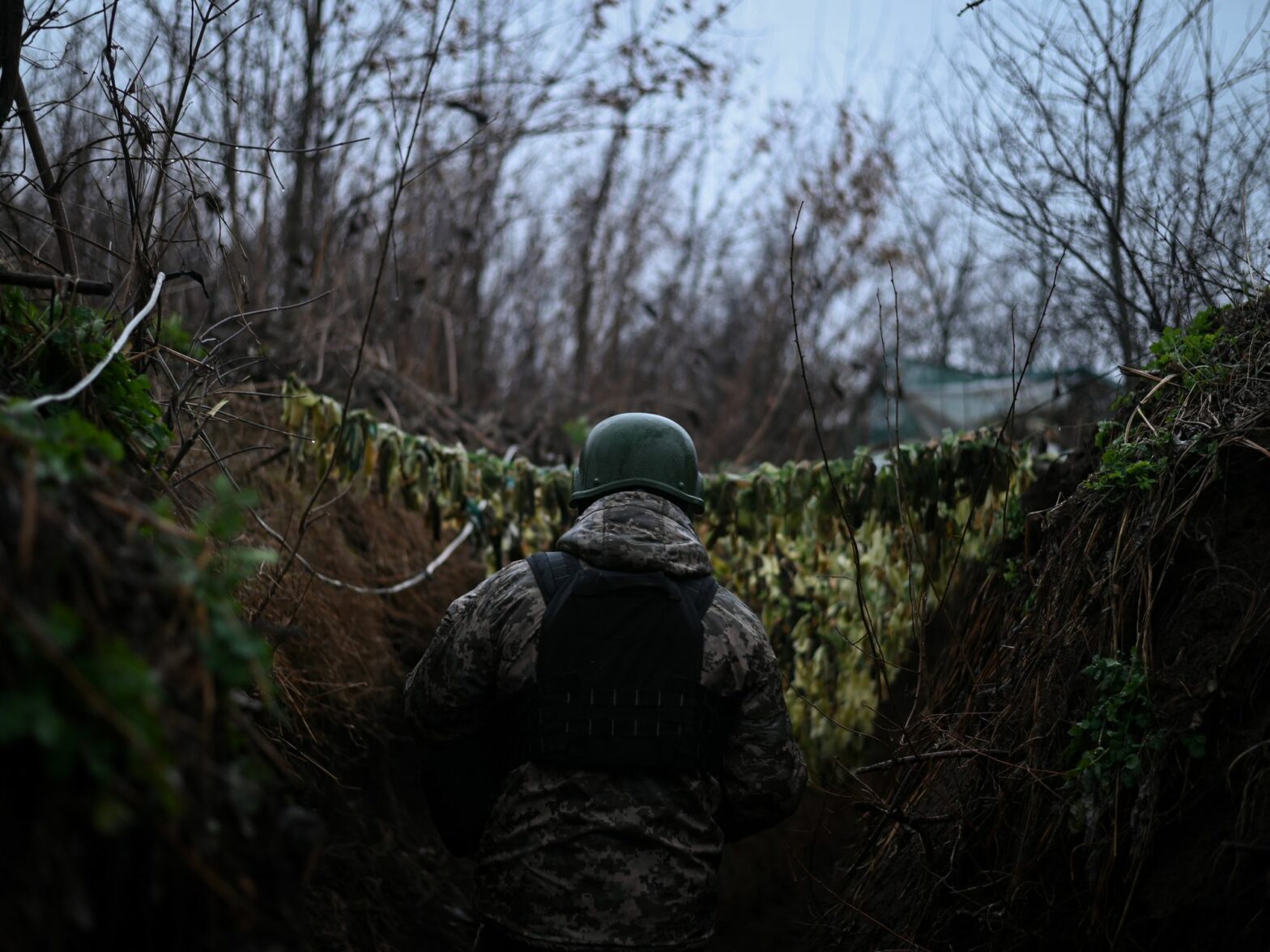 A Ukraine soldier walking through a trench system with trees surronding them.