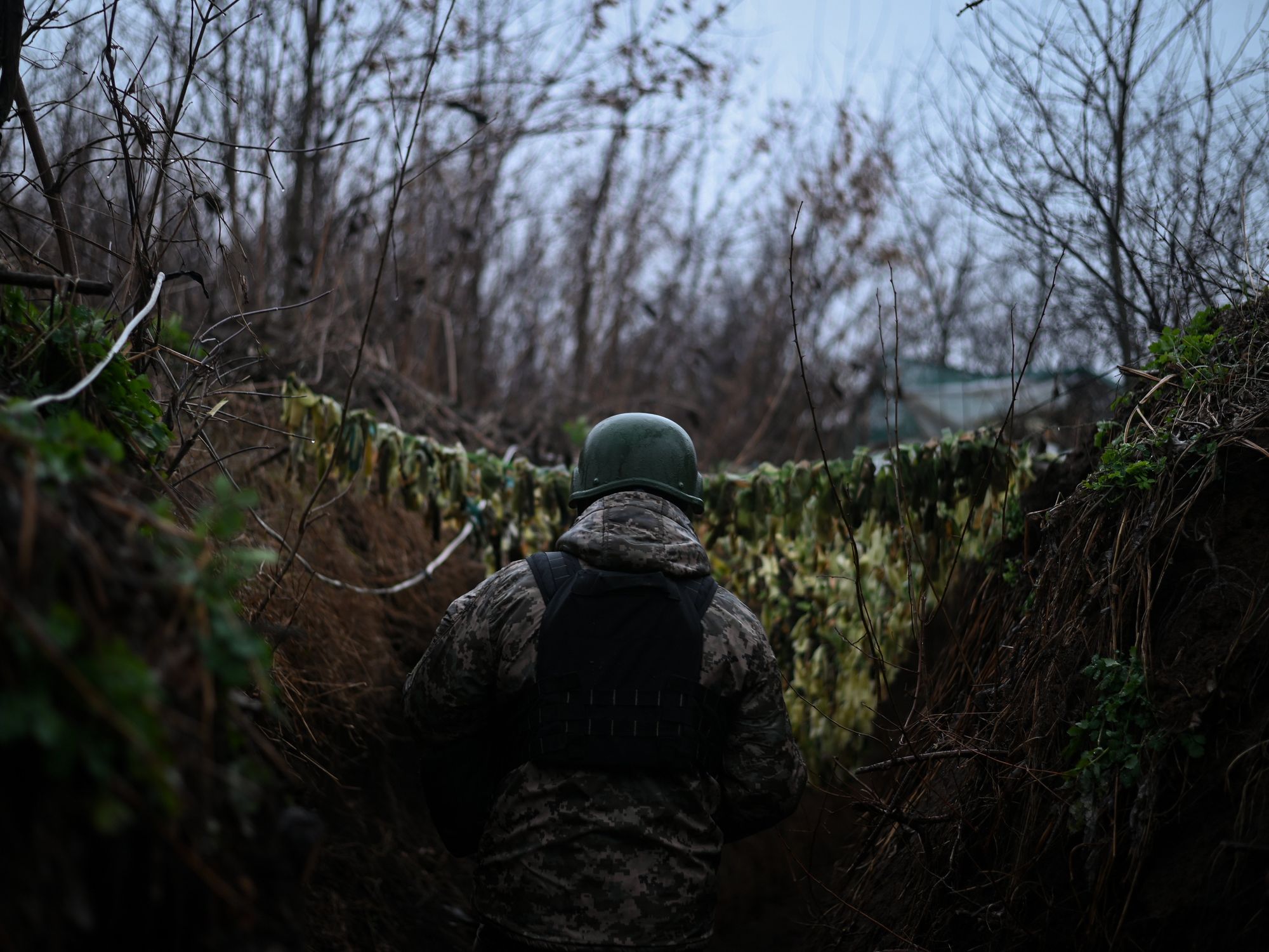 A Ukraine soldier walking through a trench system with trees surronding them.