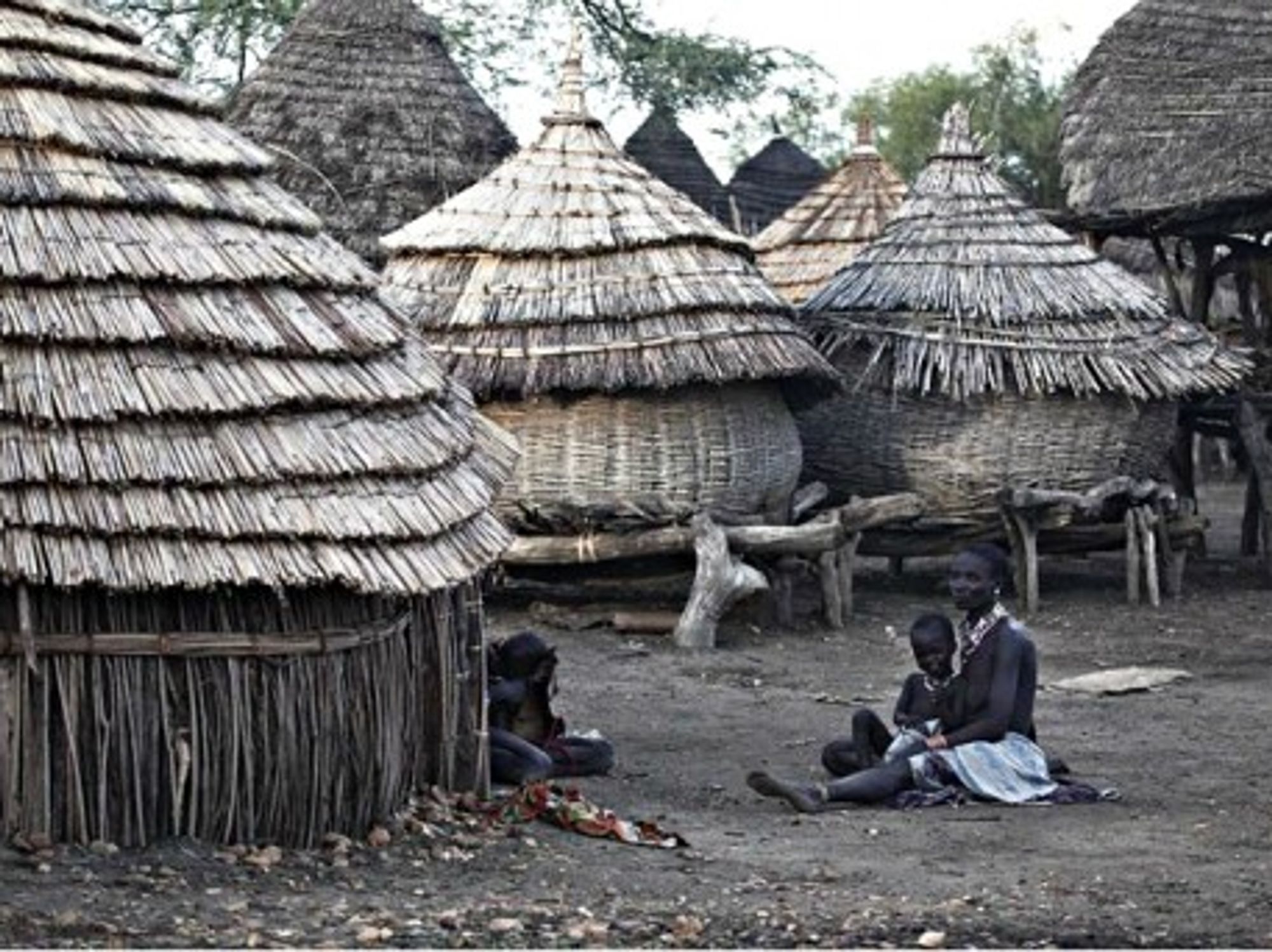 A village in South Sudan. One third of the country's population is facing severe famine risks.