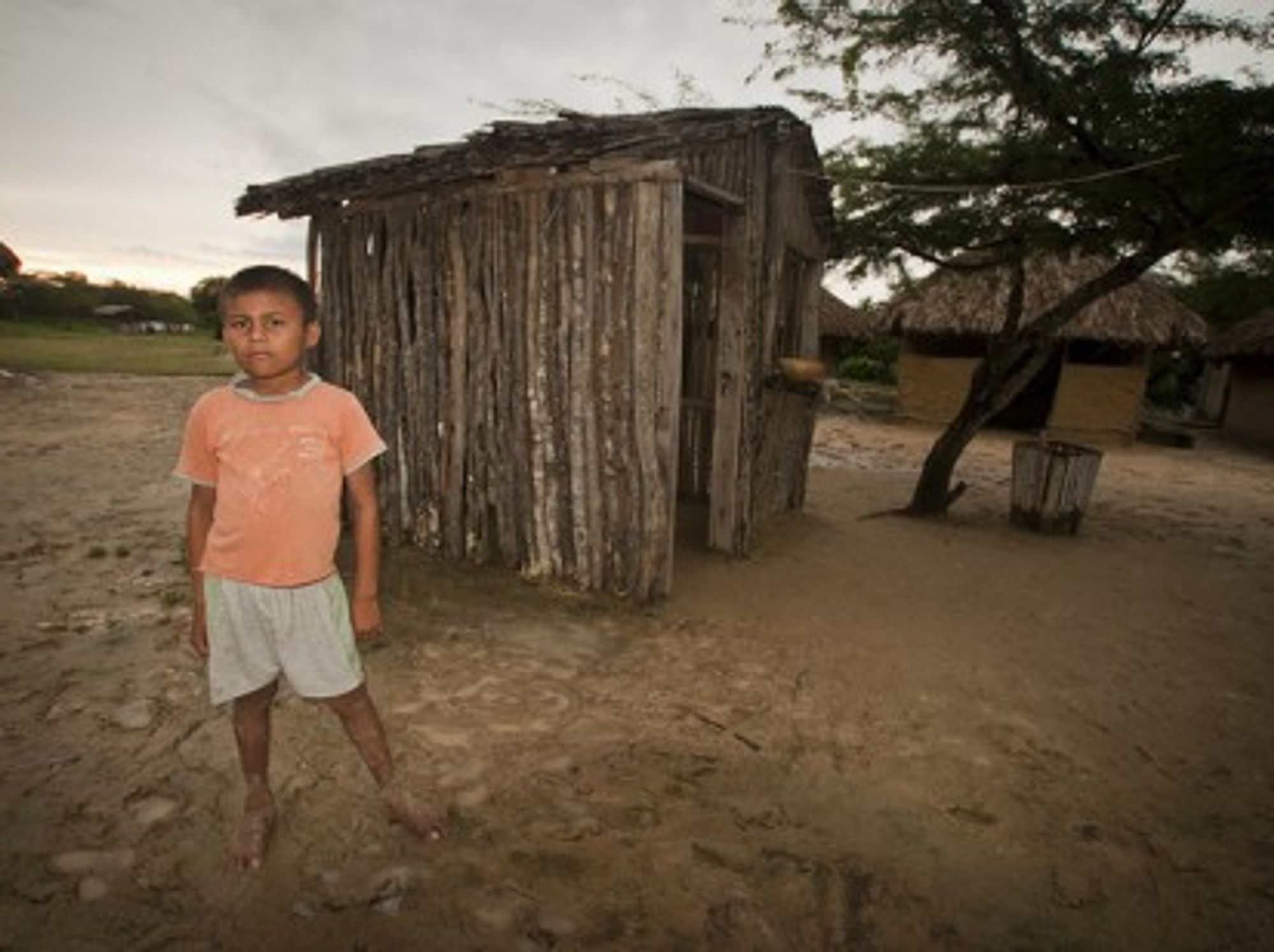 A WayÃºu boy