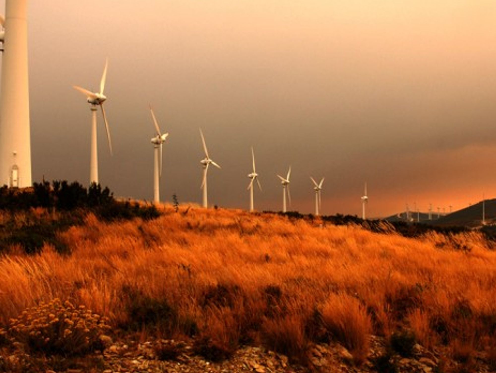 A wind park operated by Portugal's EDP, a now partially Chinese-owned power company (EDP/Adelino Oliveira)