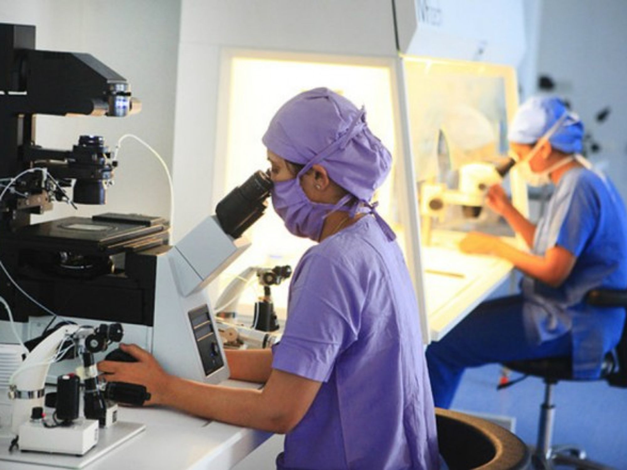 A Woman at Work in the Fertization Lab at Akanksha Hospital & Research Centre at Gujarat.