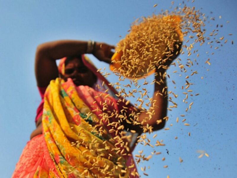 A woman farmer in India