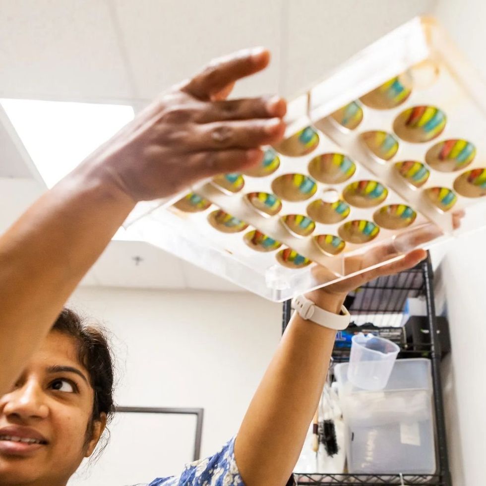A woman holds up a tray of plant-based choclate.