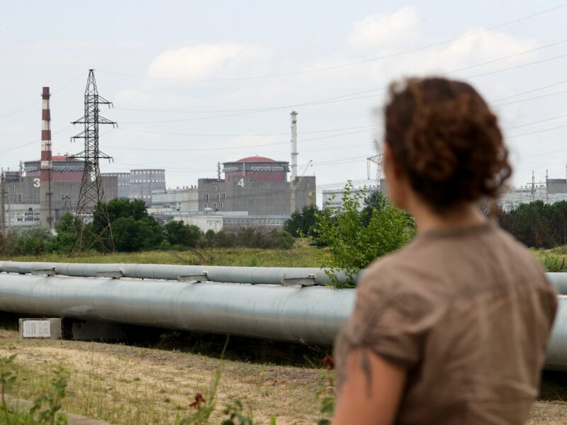 A woman looks across a field at the Zaporizhzhia Nuclear Power Plant