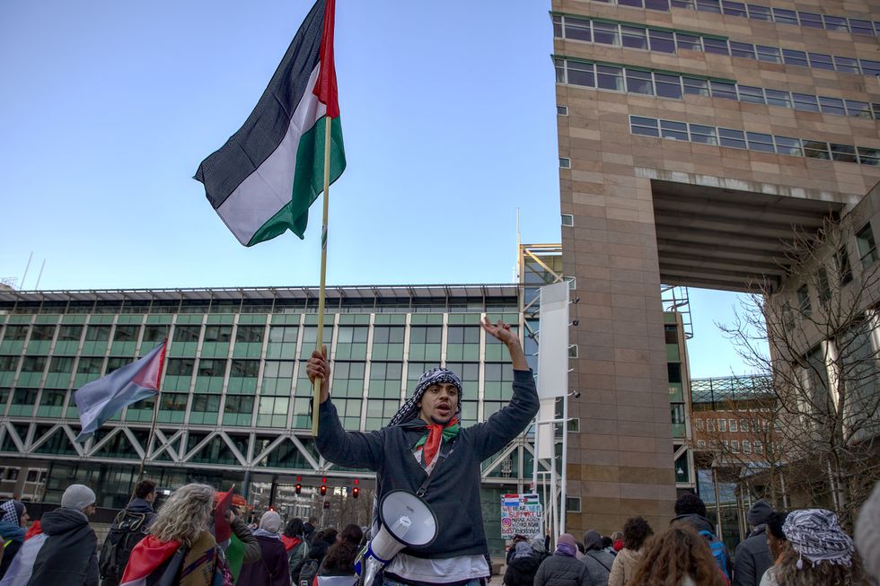 A young pro-Palestinian demonstrator waves a Palestinian flag in front of the Palace of Justice in The Hague.
