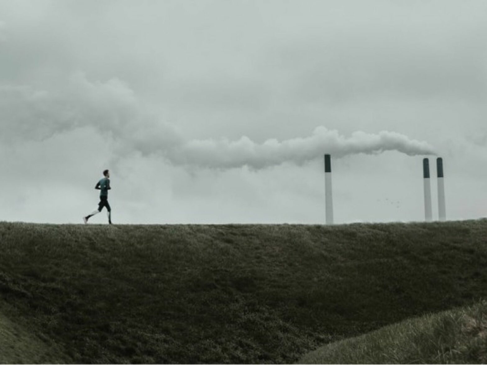 A BCC is needed to keep CO2 emissions in check