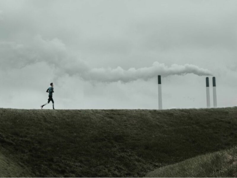 A BCC is needed to keep CO2 emissions in check