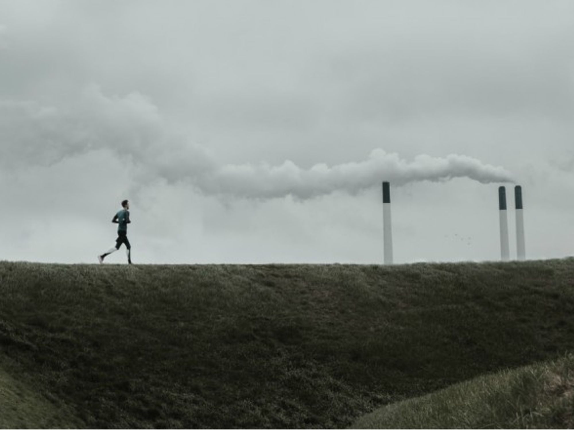 A BCC is needed to keep CO2 emissions in check
