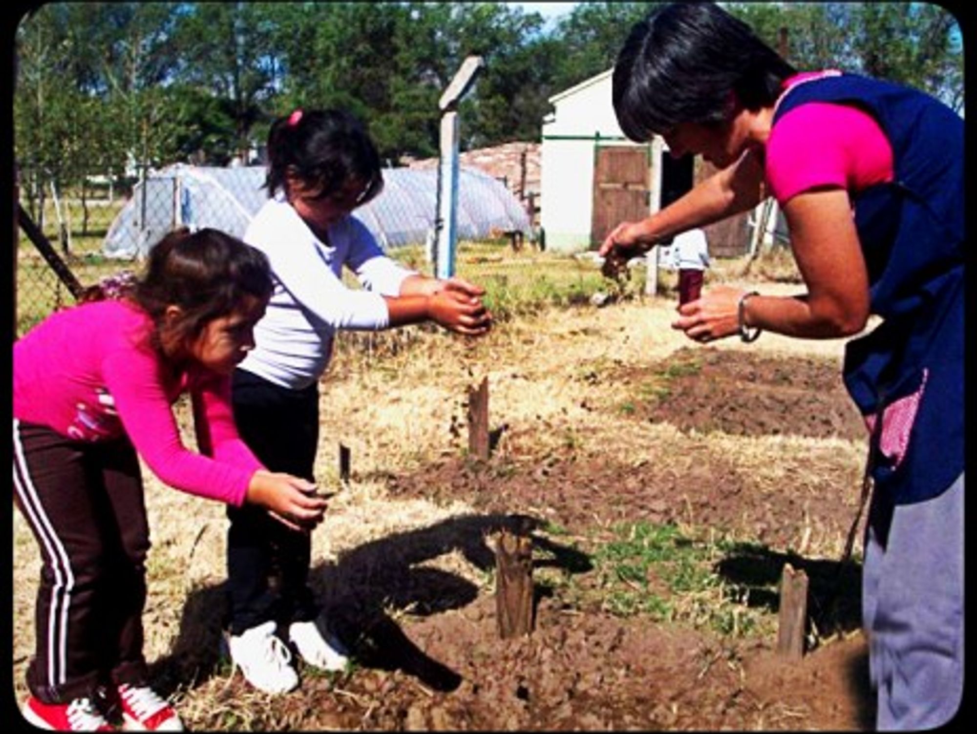 â€œTake the seeds homeâ€