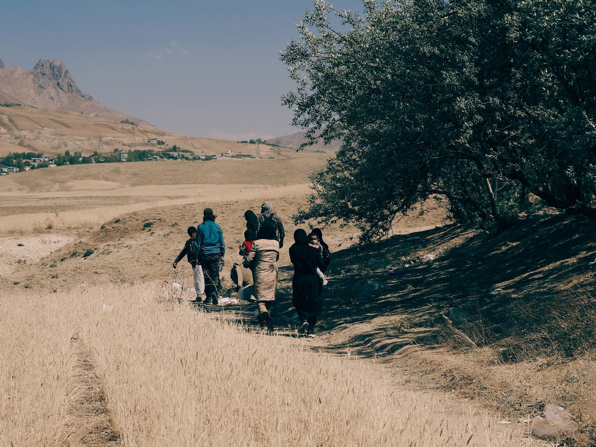 Two-Way Street: Iran Faces Simultaneous Crises Of Immigration And Emigration