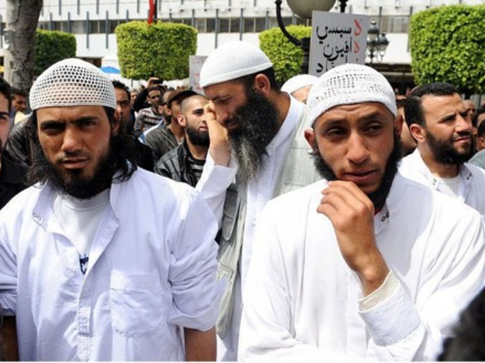 After the Arab Spring, the Islamist Summer (Magharebia)