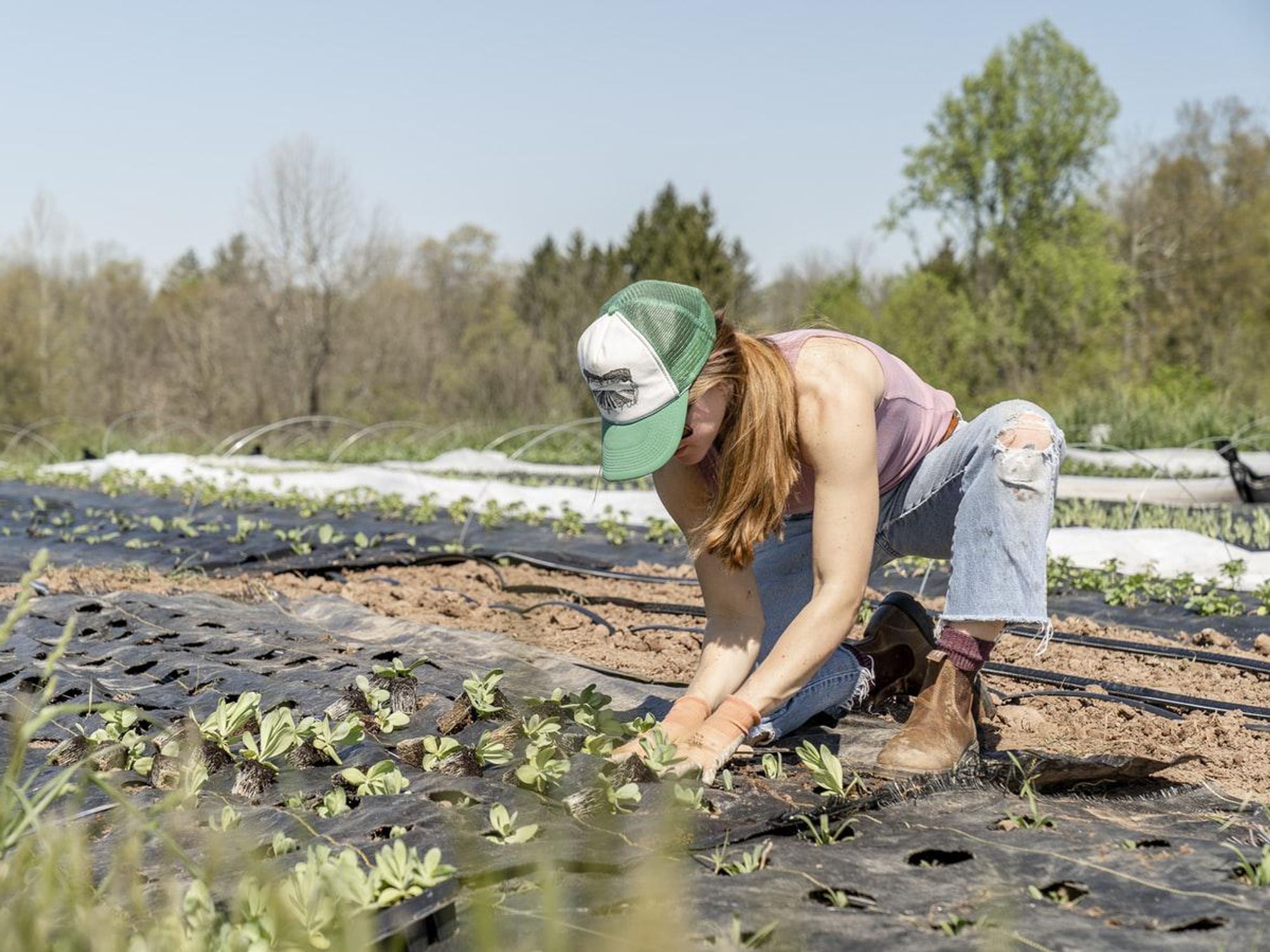 Climate Change & The Food Factor: The Planet Needs A New Kind Of Agriculture