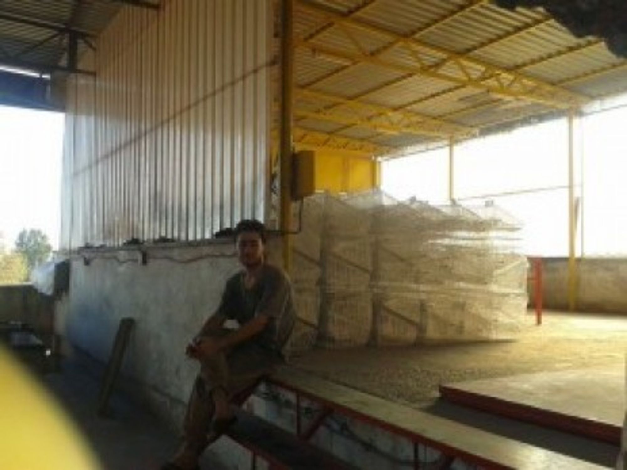Ali, who was a French literature student at Aleppo University, now works in an iron factory in Turkey.