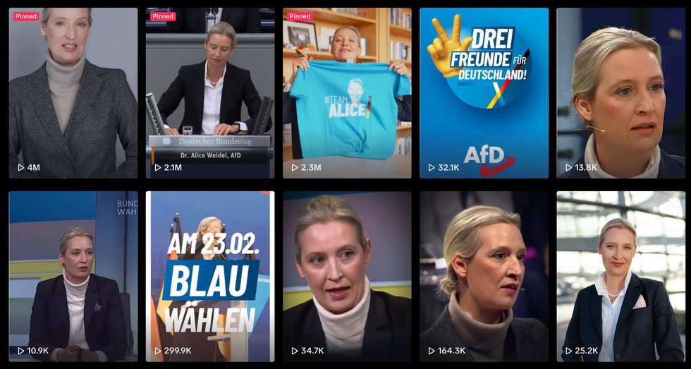 Alice Weidel's official TikTok account
