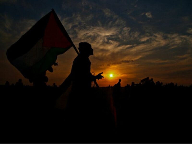 Along the Israel-Egypt border