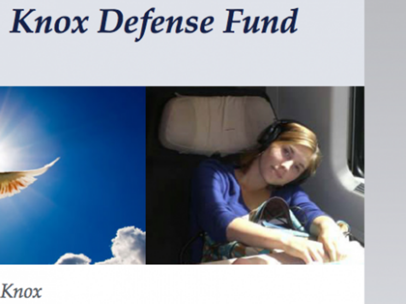 (Amanda Defense Fund)