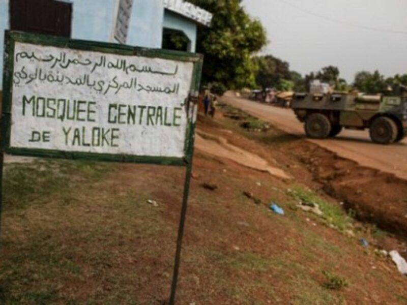 Amnesty International says that â€œethnic cleansingâ€ of Muslim civilians is taking place in C.A.R.
