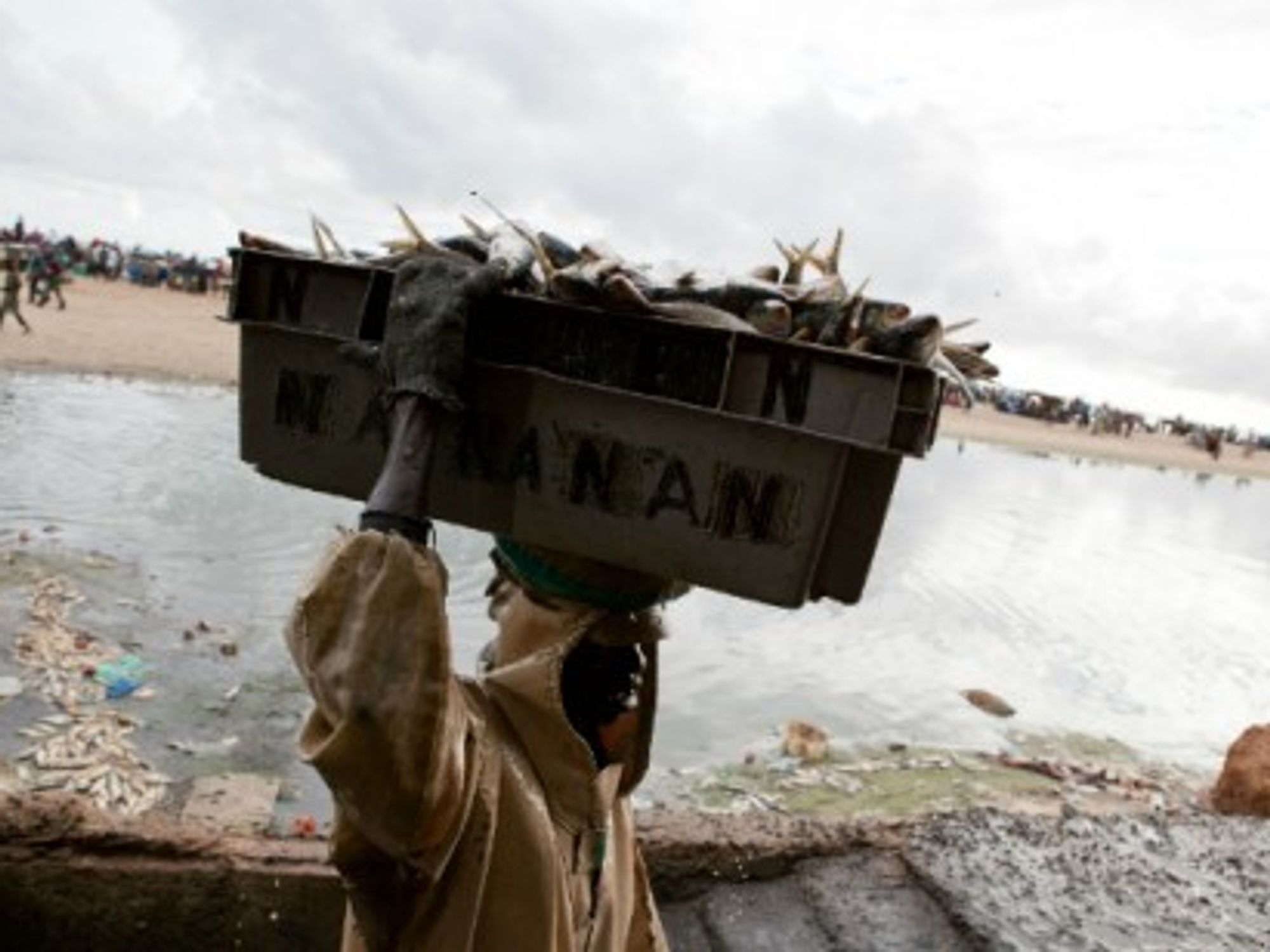 An artisanal fisherman in Joal, Senegal