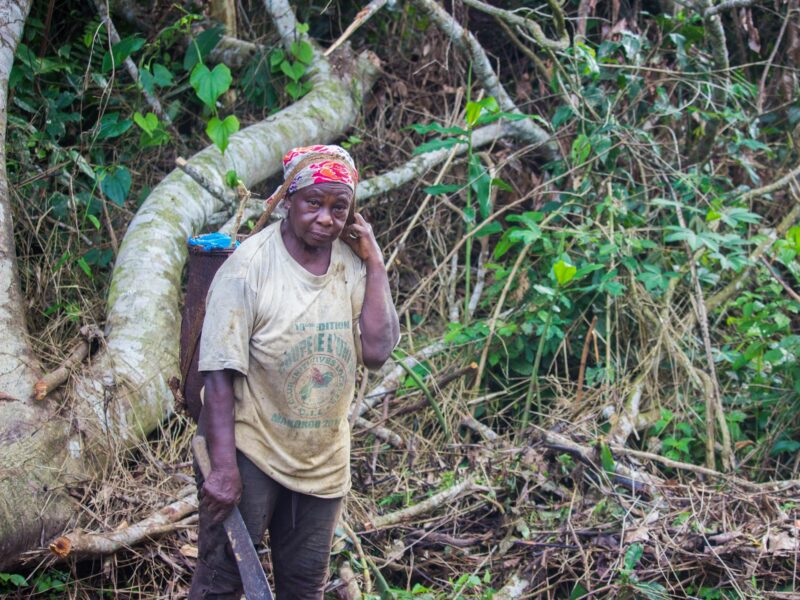 An image of a person with a machete in Congo Basin's tropical forest.
