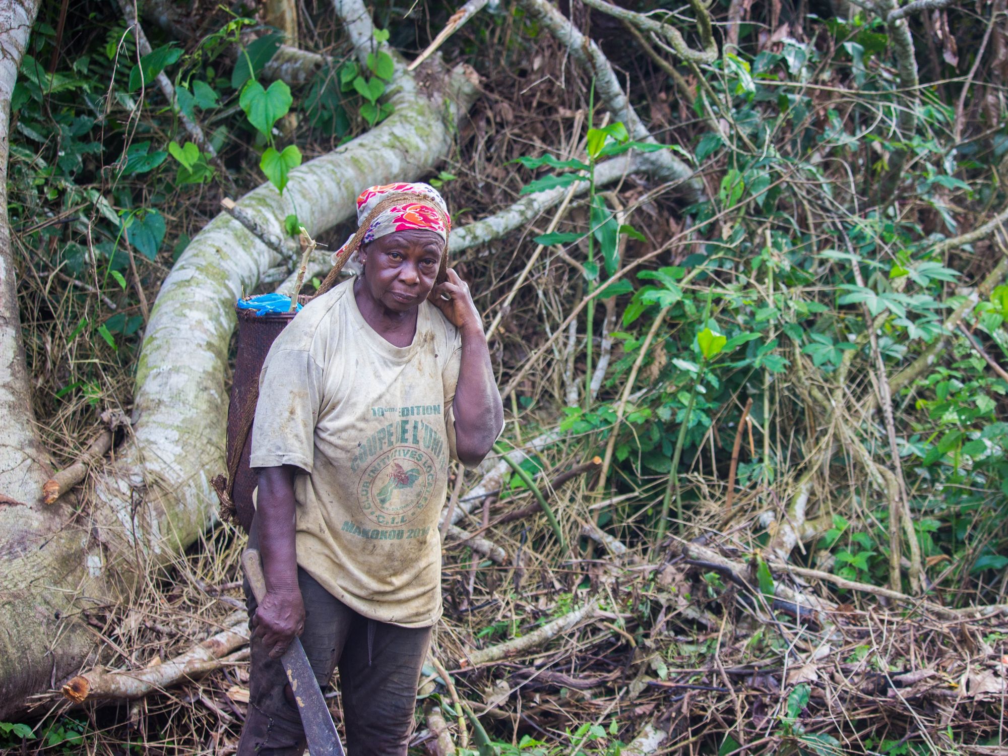 An image of a person with a machete in Congo Basin's tropical forest.