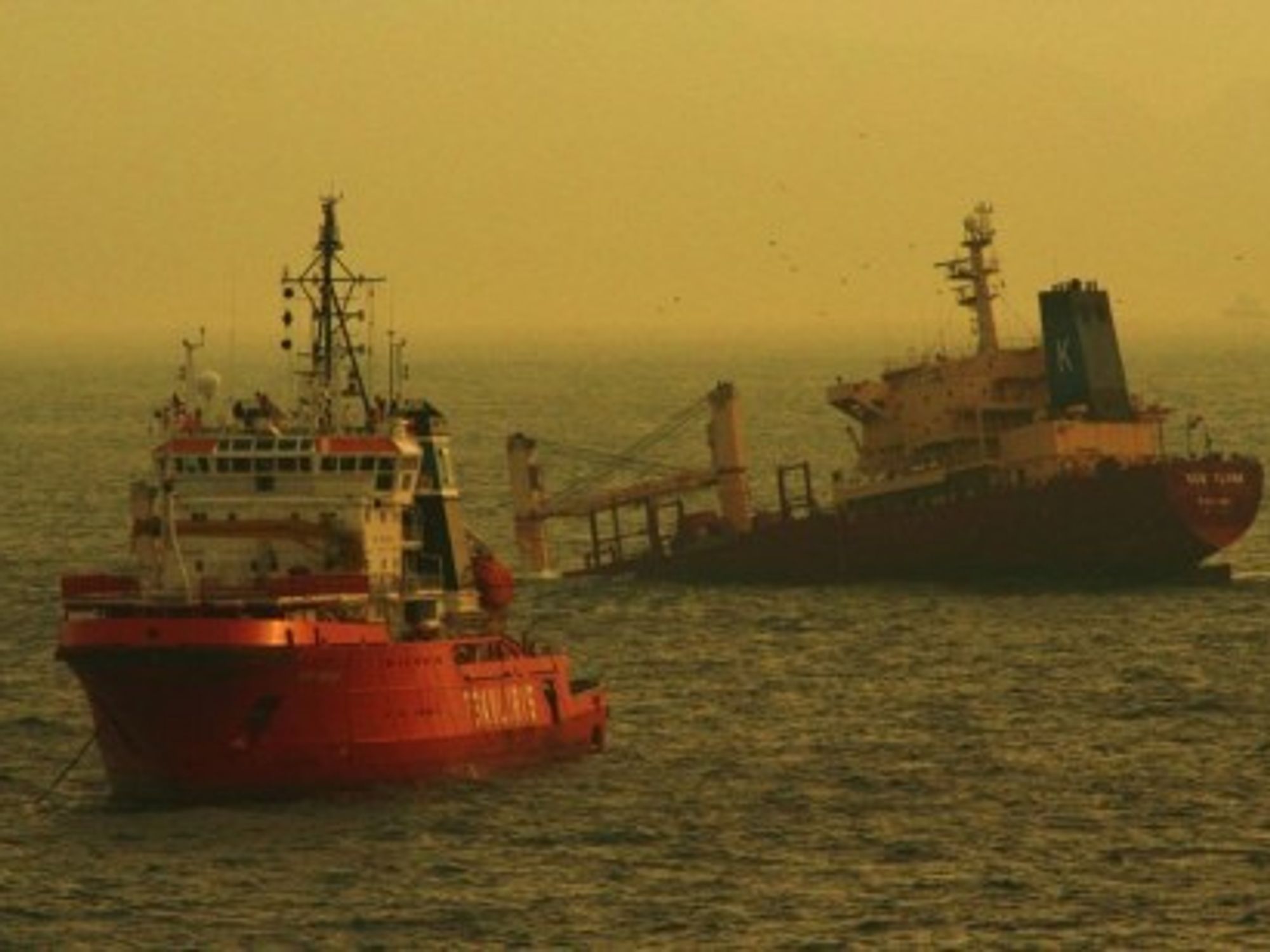 An oil spill followed the 2007 sinking of the