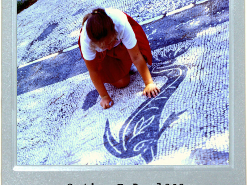 Ancient Dolphin Play