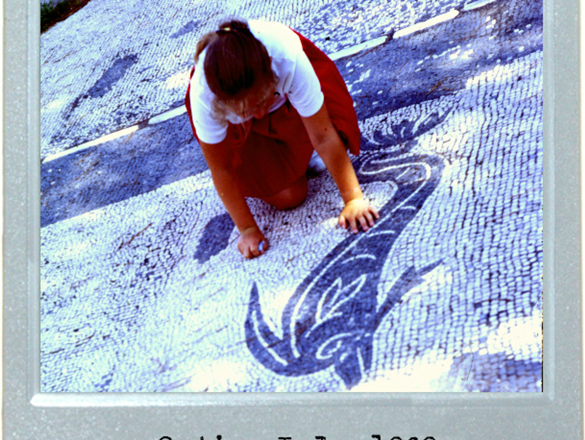Ancient Dolphin Play