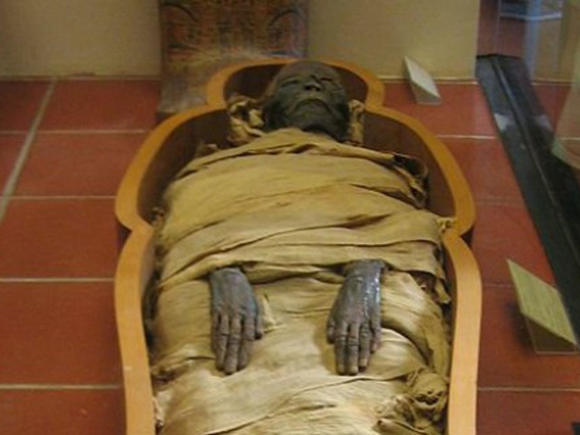 Ancient Mummies Discovered Floating In Egyptian Canal