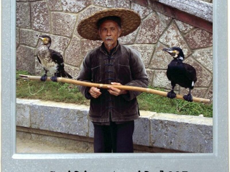 Another Kind Of Fly Fishing
