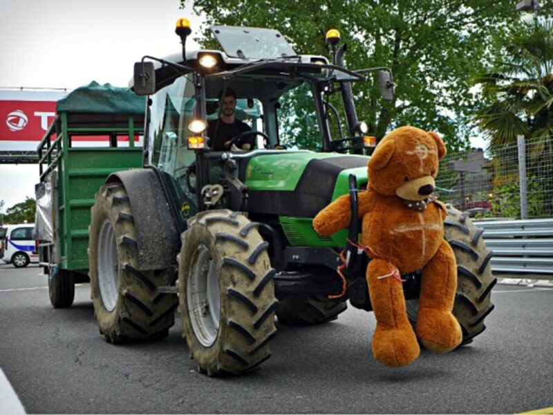 Anti-bear demonstration in Pau