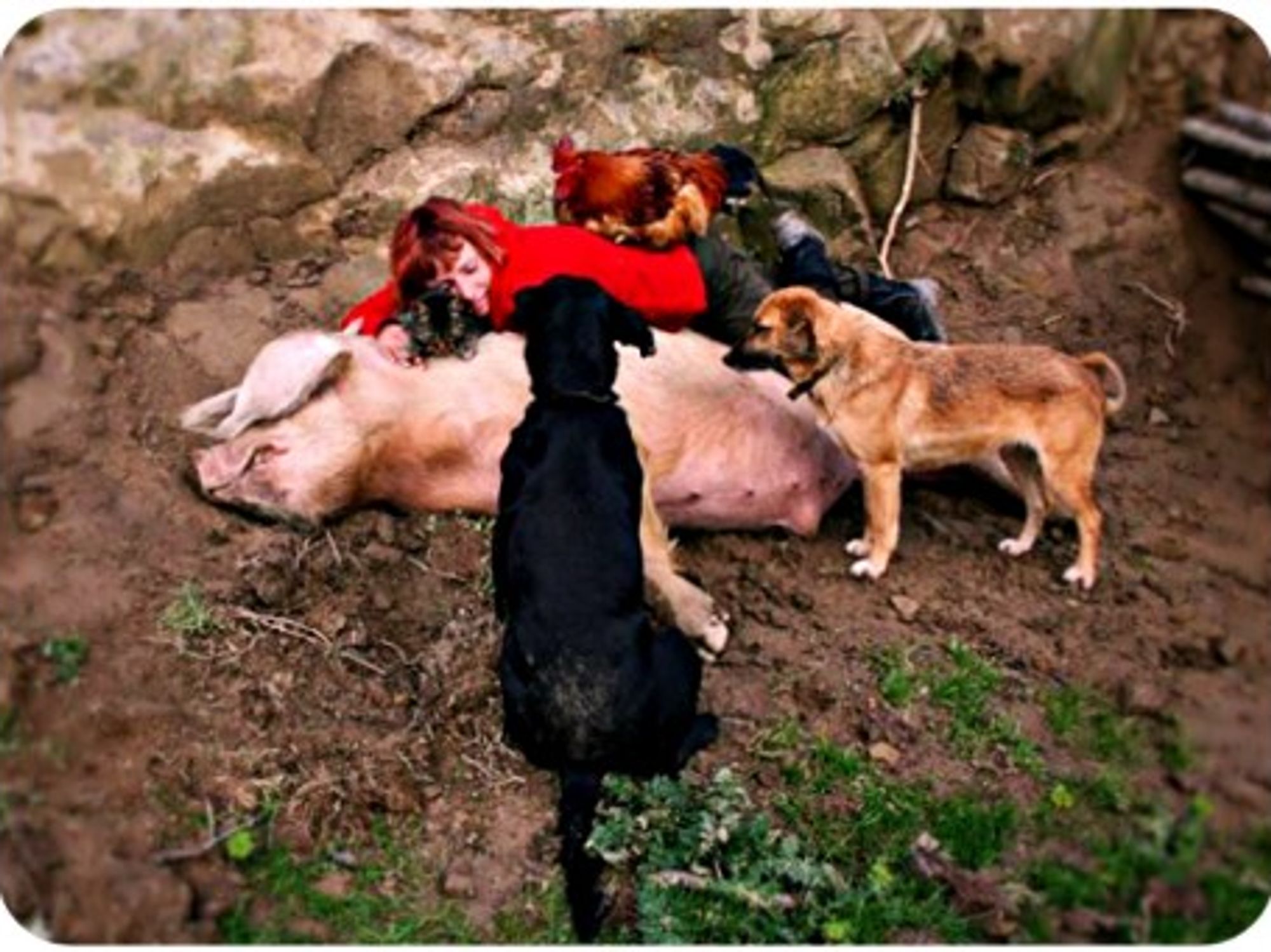 Antonella Inicorbaf, surrounded by ValleVegan "non-humans"