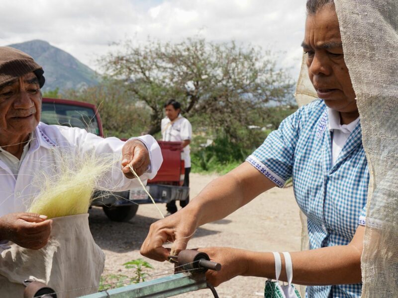 The Problem With Ixtle, Mexico's Ancestral Solution To Plastic Bags