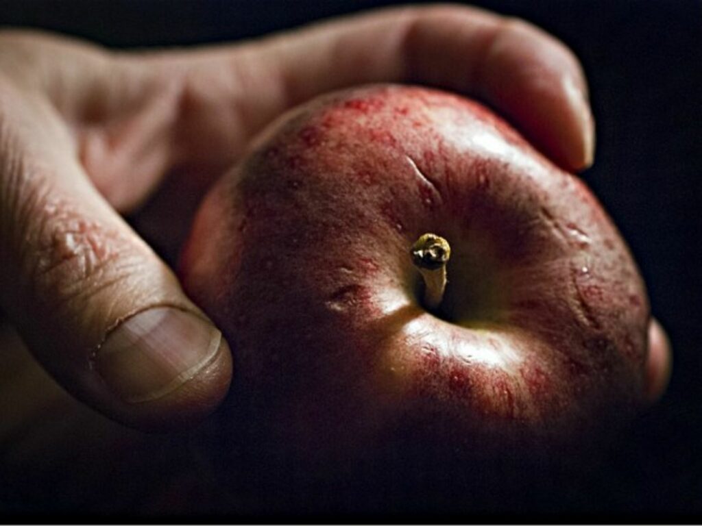 Apple of discord