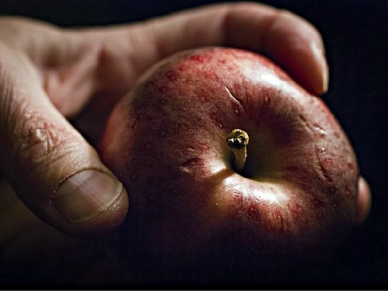 Apple of discord
