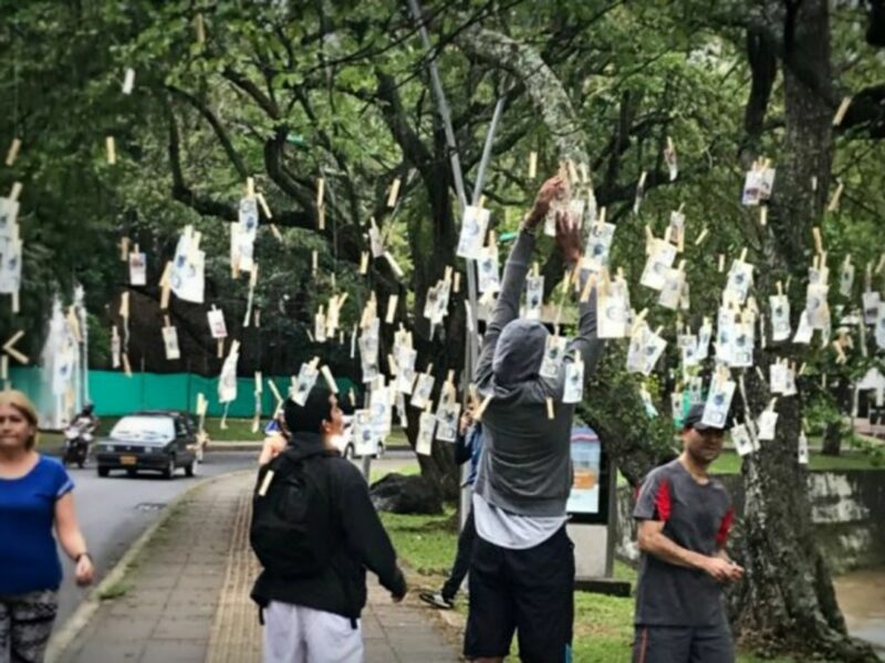 'Arbol de billetes', or 'banknote tree' in Cali, Colombia