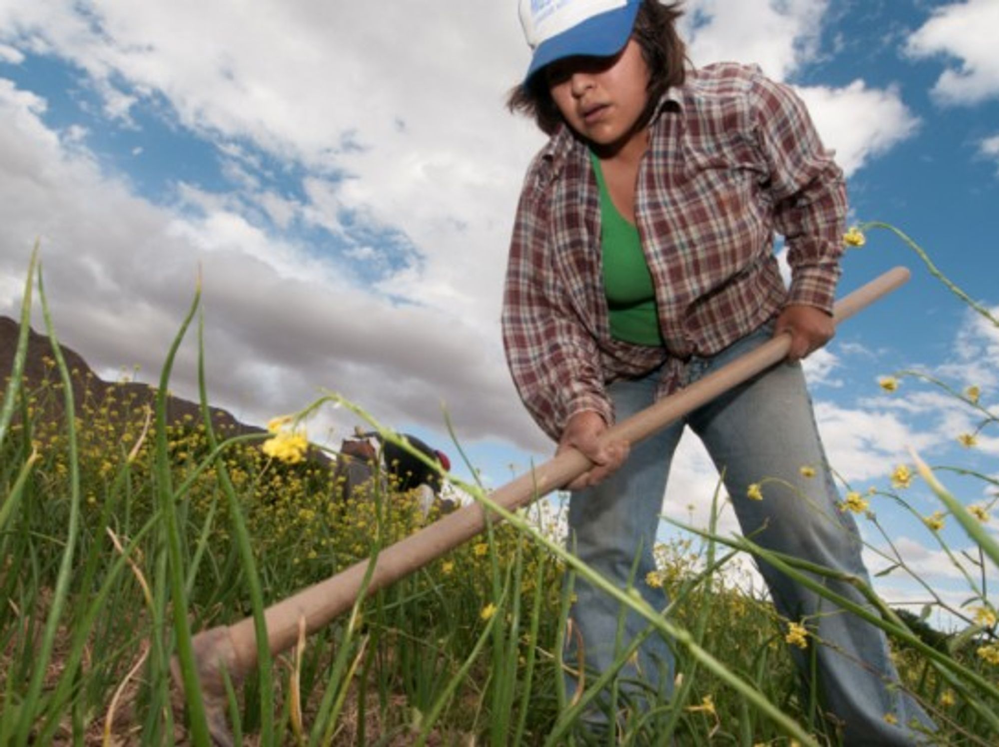 Argentinian native farmer works on onion fields with her husband