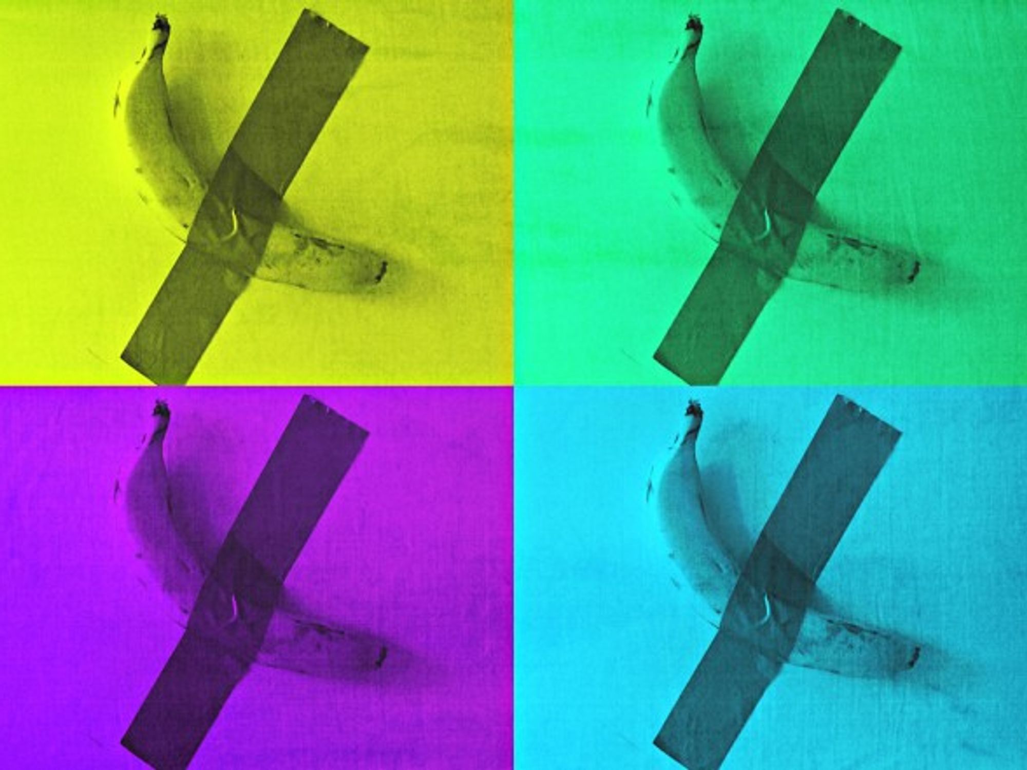 Art?