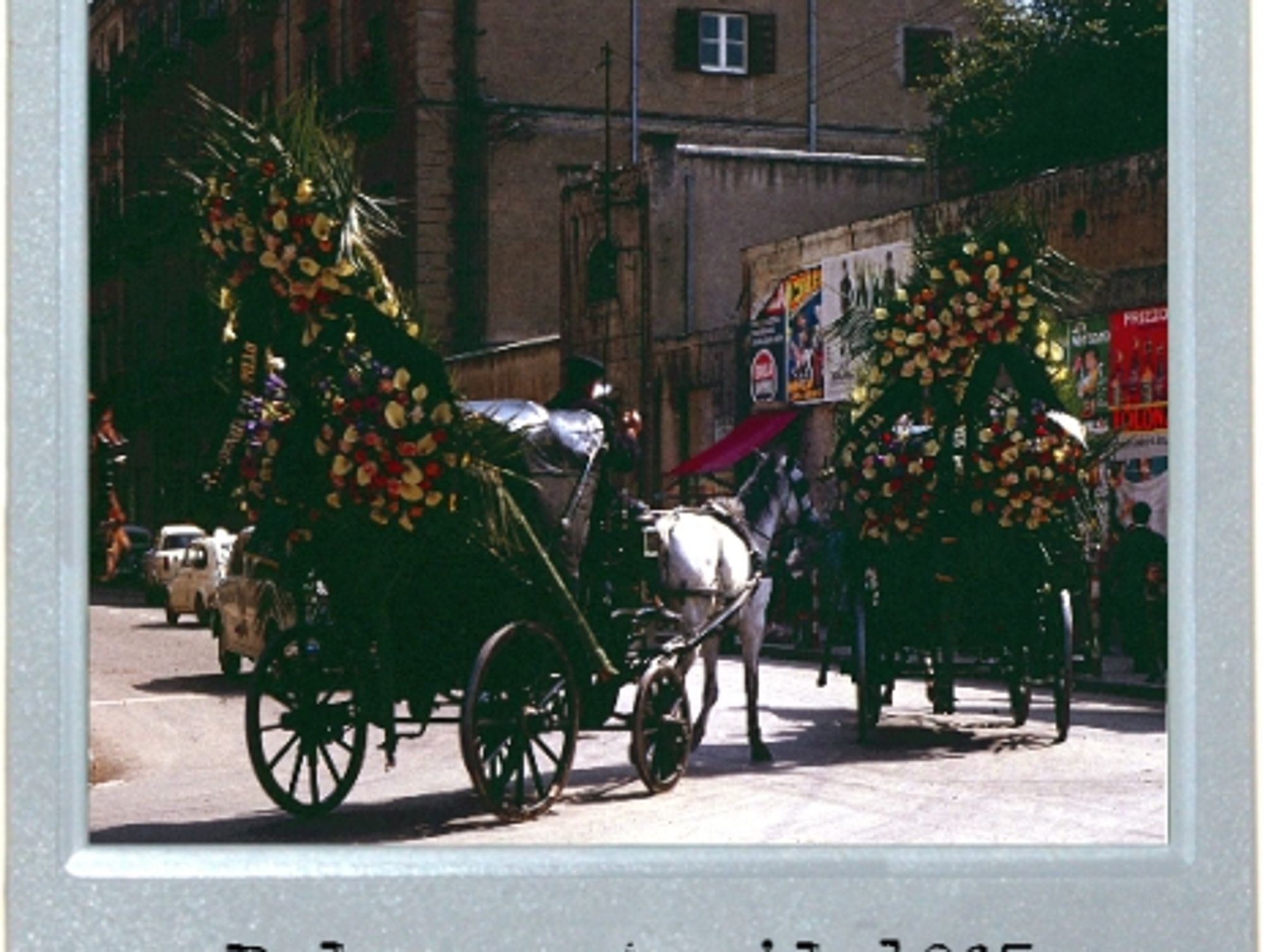 At Rest In Palermo